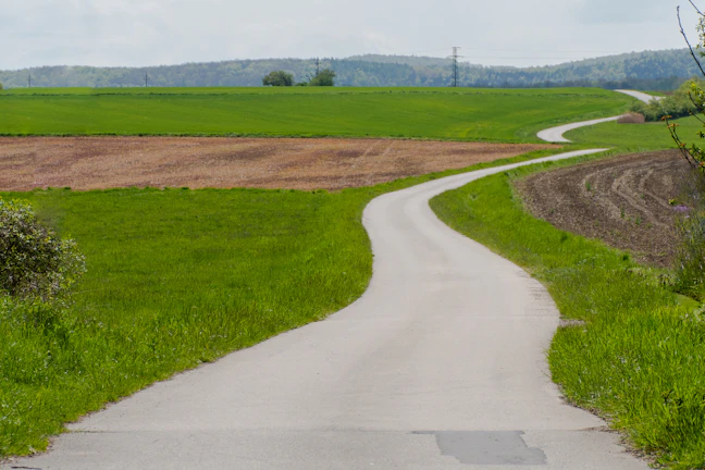 Farm access road winding through lush green fields with distant farm buildings