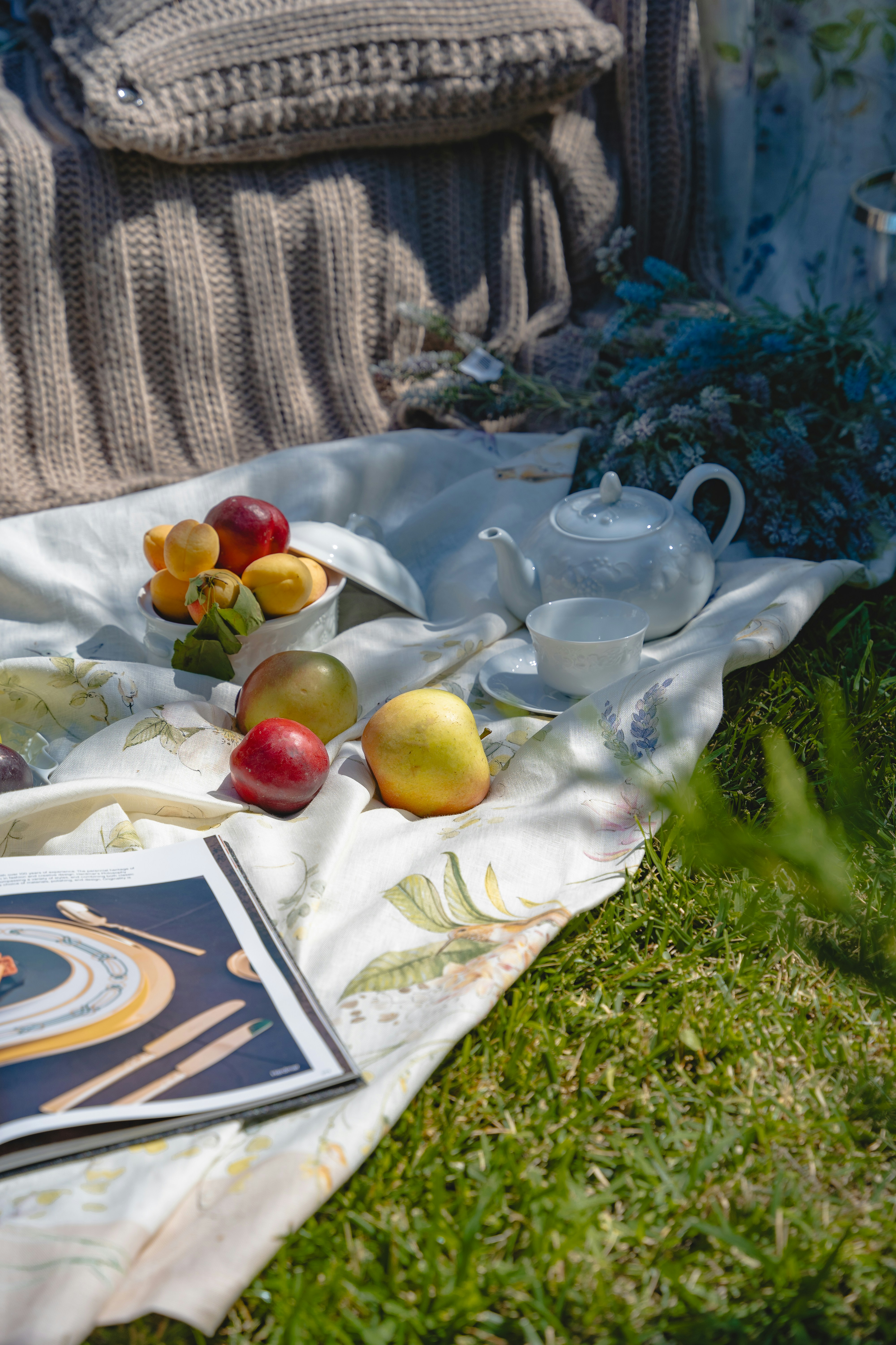 a blanket on the ground with apples on it