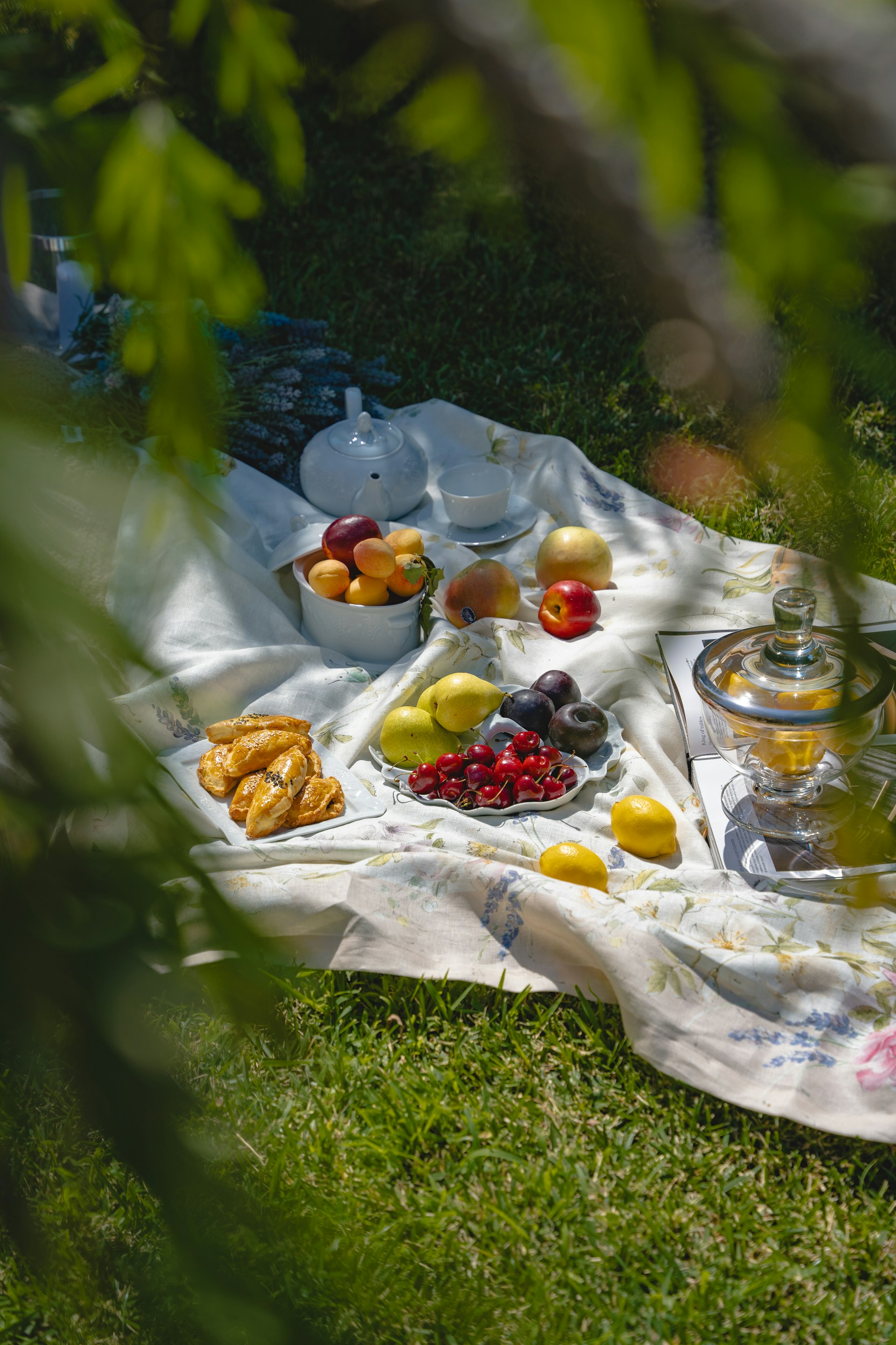 A cozy picnic setup on a grassy area features a white blanket adorned with an assortment of fresh fruits such as apples, pears, and cherries, along with a bowl of assorted pastries. A glass teapot and cups complement the spread, creating a serene outdoor dining experience. Surrounding branches provide a natural frame to the scene, suggesting a peaceful, shaded setting.
