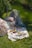 A vibrant garden setup featuring friends relaxing on picnic blankets under a sunny sky.