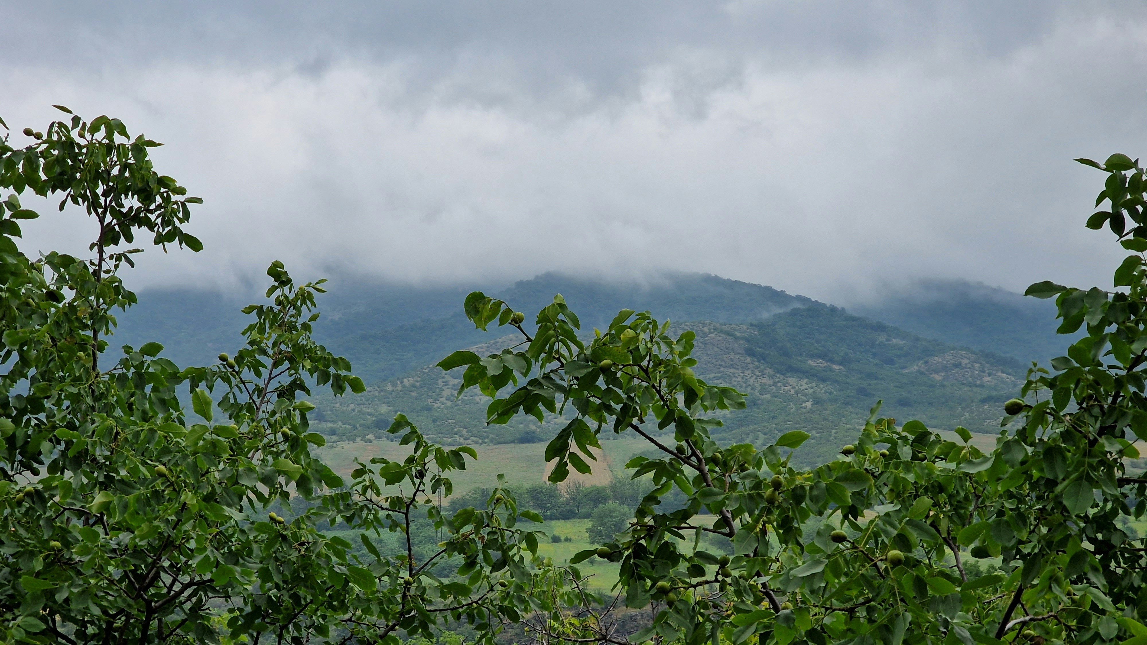 a view of a mountain through the trees