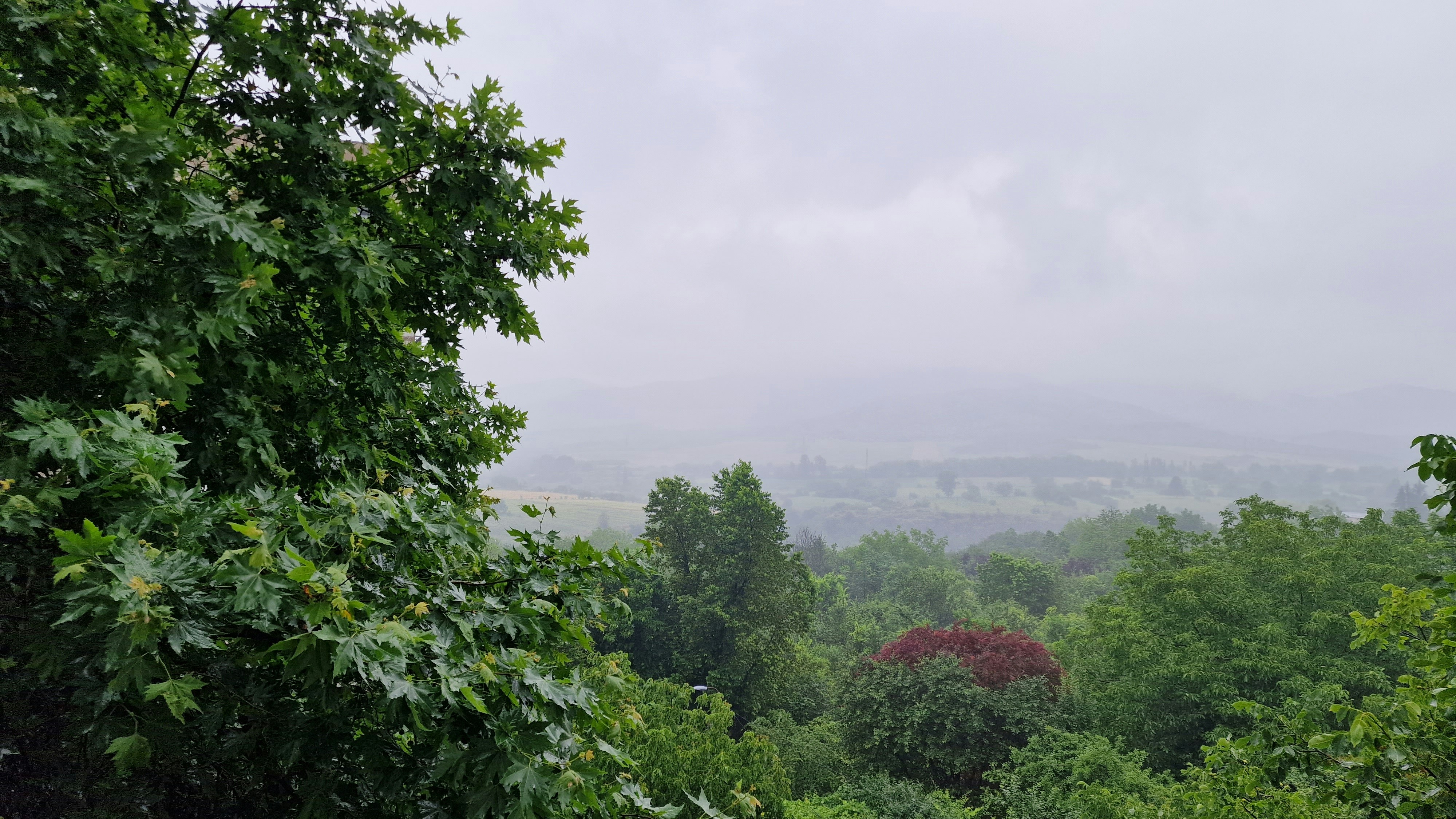 Photo by anastasius1985