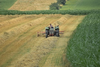 A farmer operates a tractor in a large green and golden field, harvesting hay. The field is divided into sections, with rows of cut hay contrasting with a lush green row of crops on the right. Gently rolling hills and patches of grass surround the area, giving a sense of calm and tranquility.