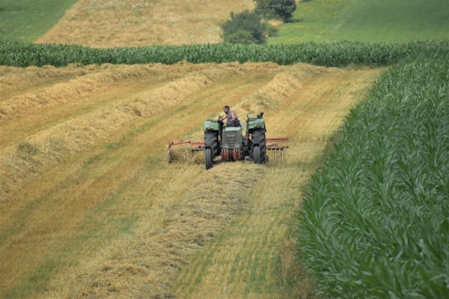 A farmer operates a tractor in a large green and golden field, harvesting hay. The field is divided into sections, with rows of cut hay contrasting with a lush green row of crops on the right. Gently rolling hills and patches of grass surround the area, giving a sense of calm and tranquility.