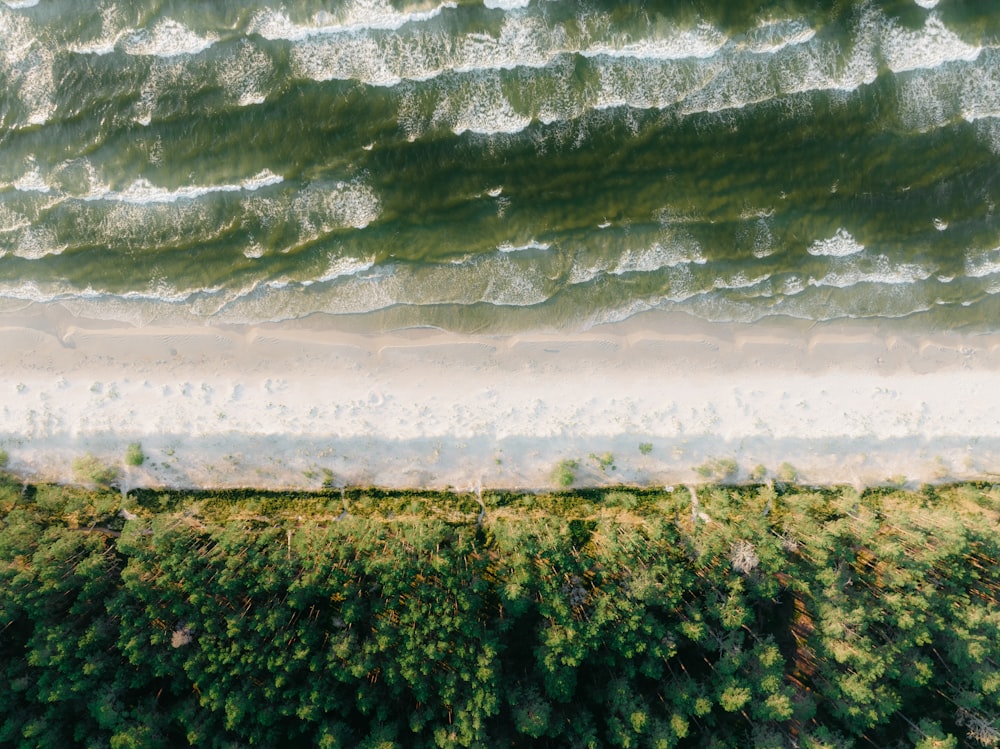 an aerial view of a beach and a body of water