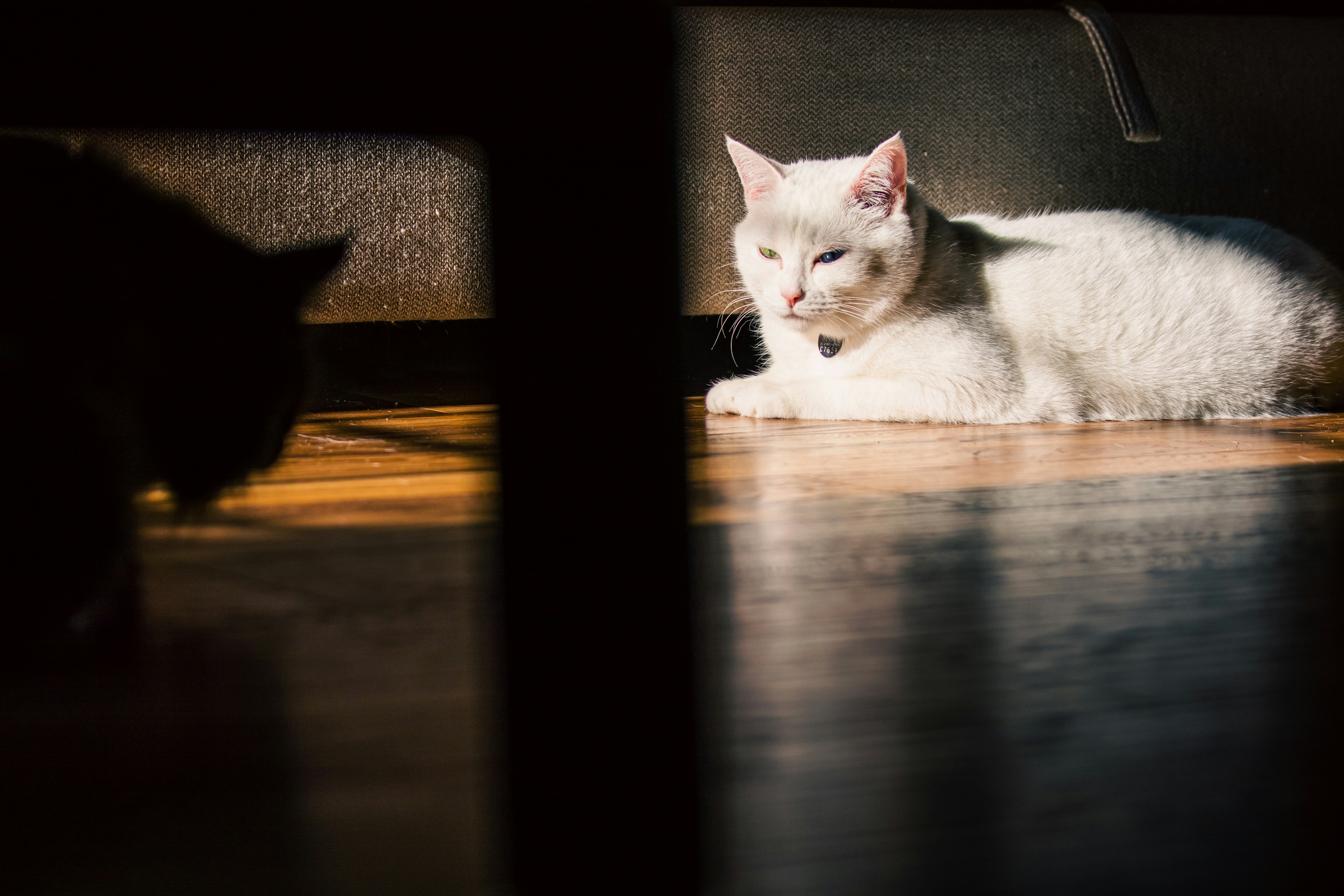 Photo by painchaud12