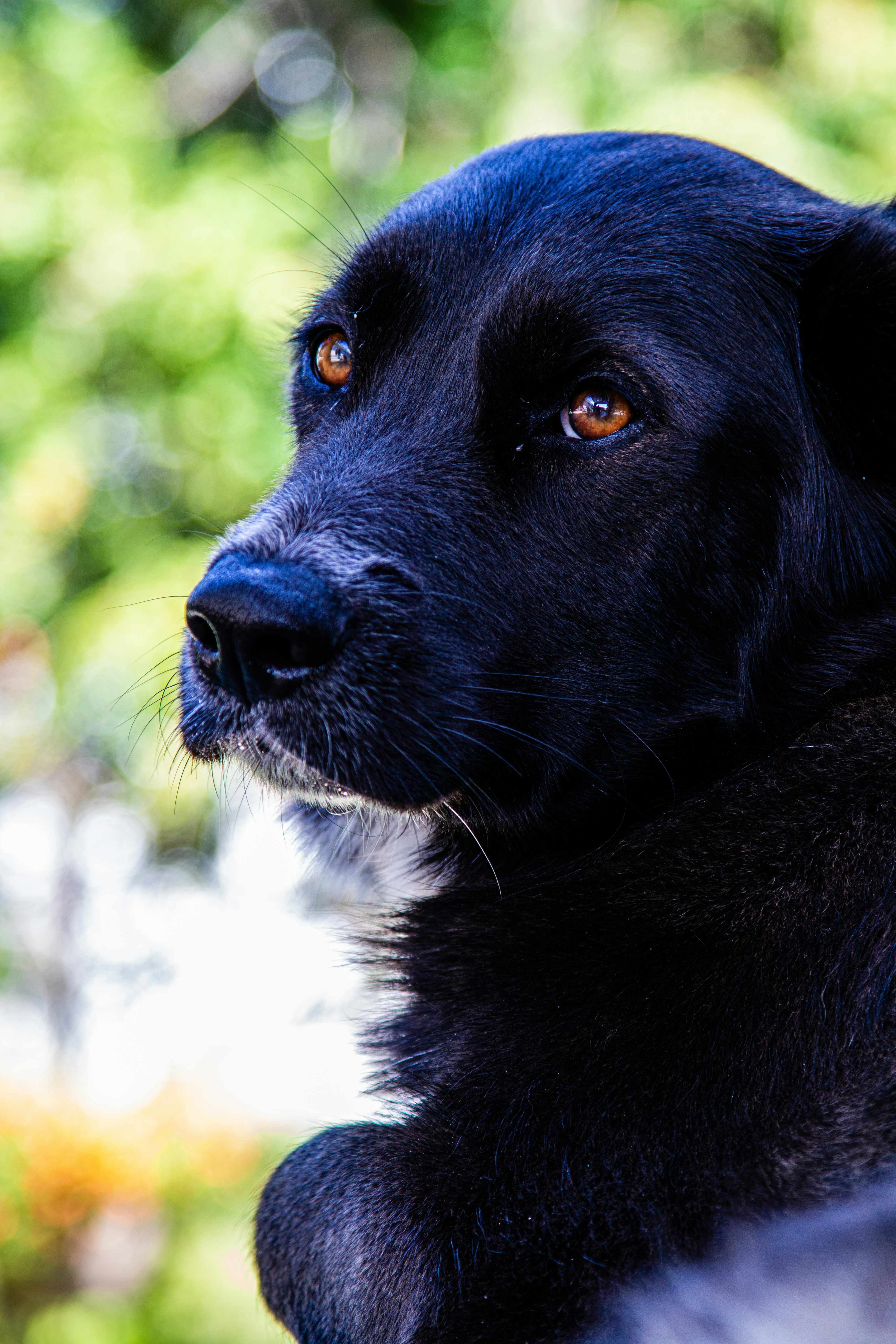 Photo by painchaud12