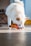 A small, fluffy white dog is intently chewing on a bright orange toy that resembles a chicken. The setting appears to be indoors, with soft lighting and a hardwood floor. The dog's ears are perked, indicating engagement and focus on the toy.