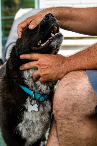 a man petting a dog with his mouth open