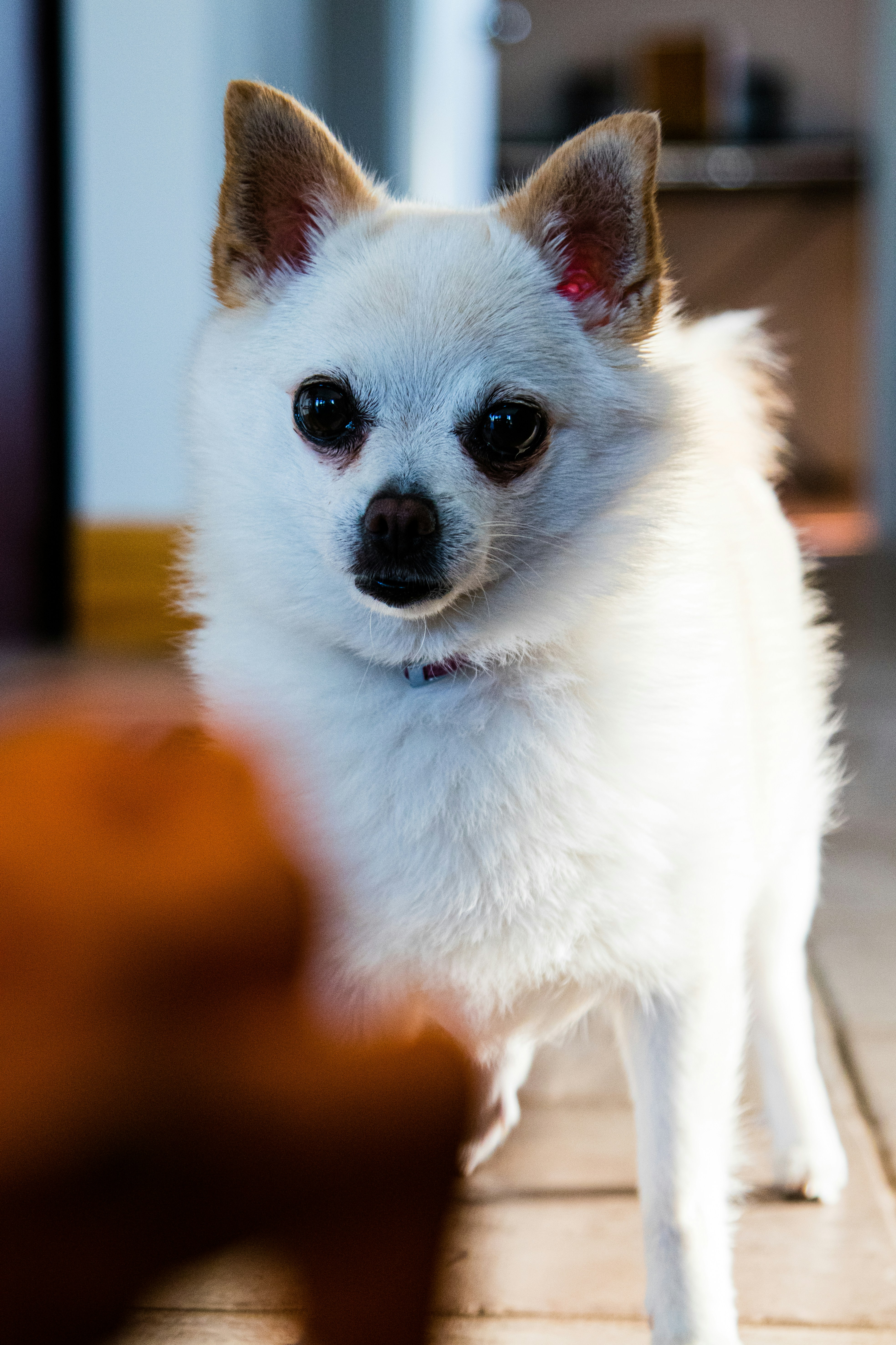 Photo by painchaud12