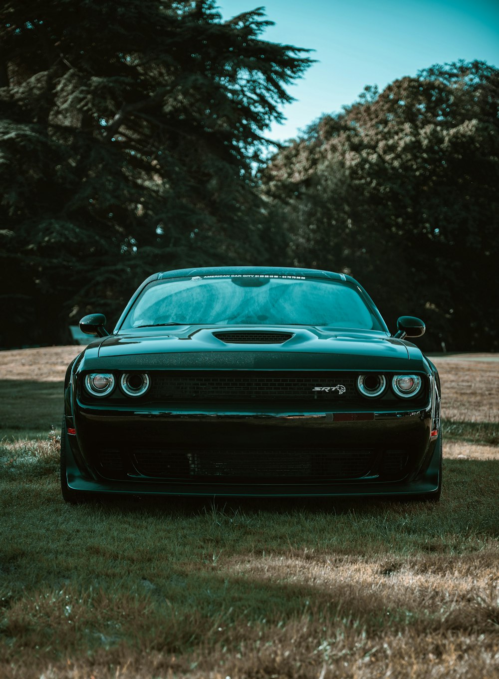 a black sports car parked in the grass