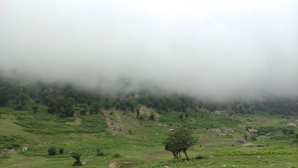 a hill covered in fog and low lying clouds