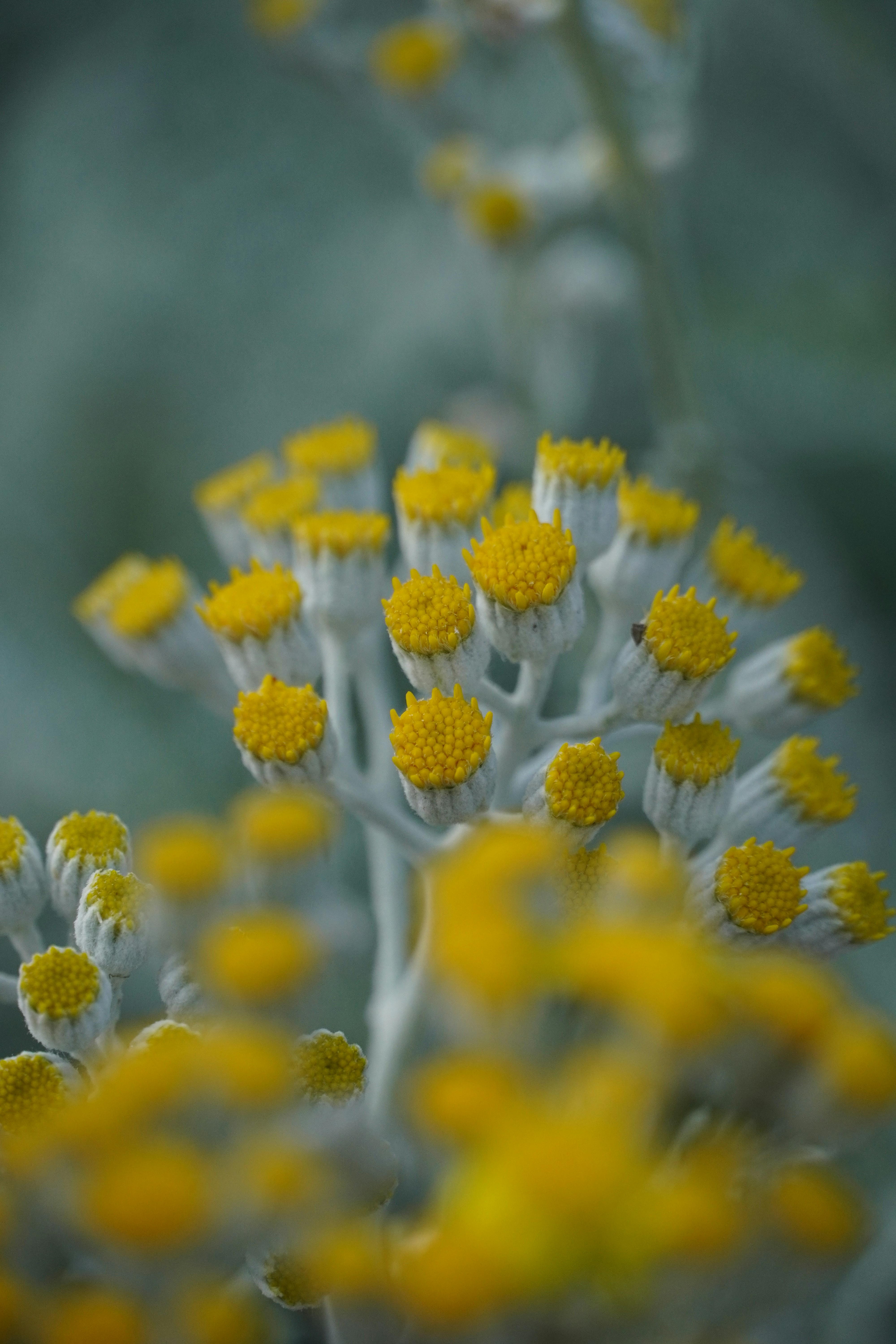 Photo by theodor_jacob