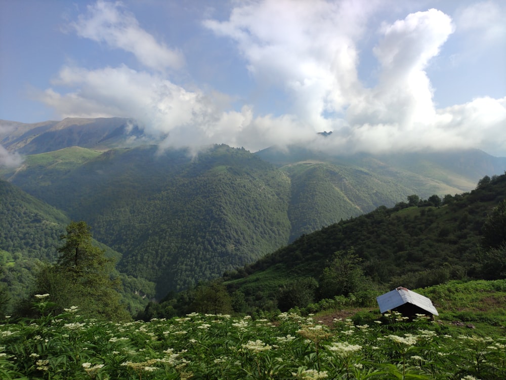 Une maison au milieu d’un champ avec des montagnes en arrière-plan