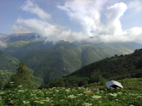 A lush green landscape featuring rolling hills and dense forests under a sky filled with dramatic, fluffy clouds. A small, simple structure with a metal roof is nestled among wildflowers and lush vegetation in the foreground.