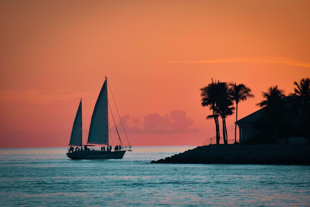 a sailboat in the ocean with palm trees in the background