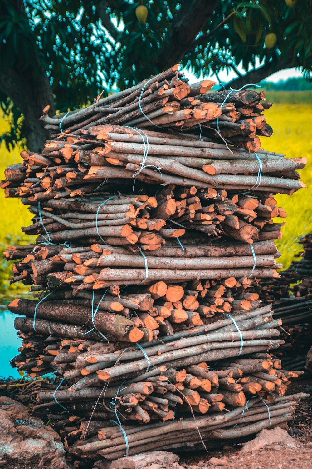 a pile of logs stacked on top of each other