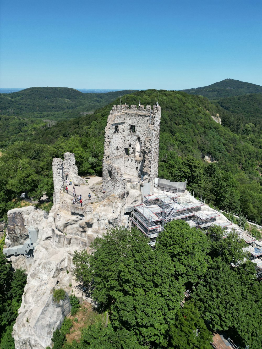 an aerial view of a castle surrounded by trees