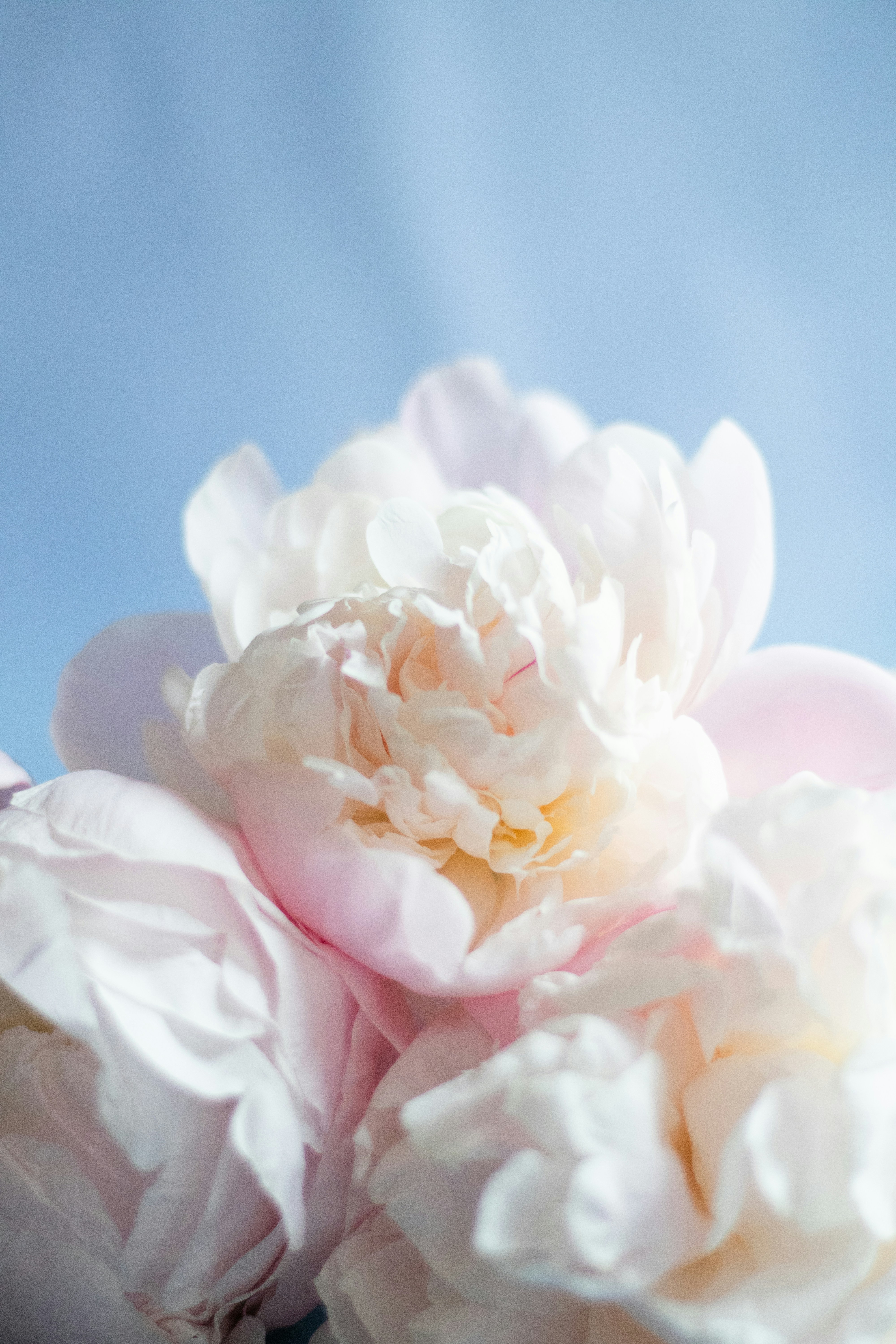 Photo by fionamurrayphoto