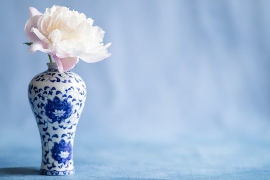 A delicate peony flower with white and blush pink petals is placed in an intricately designed blue and white porcelain vase. The background is a soft blue, creating a serene and elegant atmosphere.