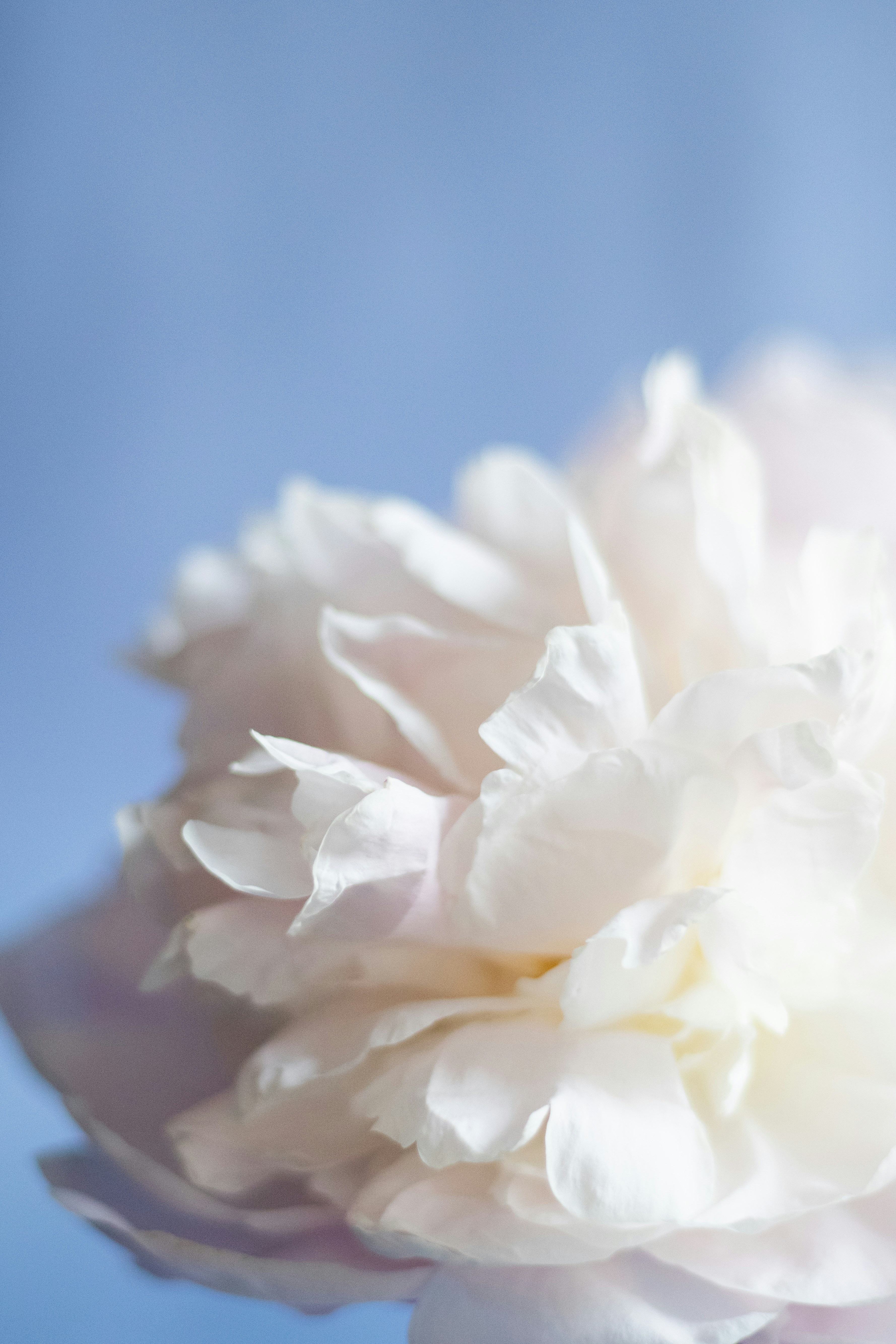 Photo by fionamurrayphoto