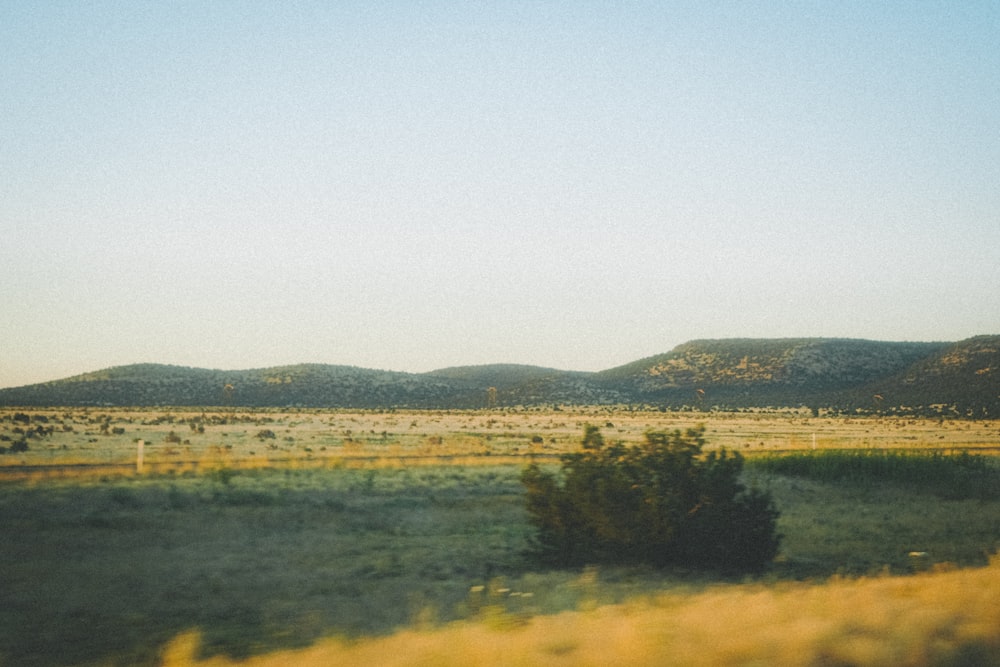 a grassy field with mountains in the distance