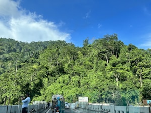 A friendly land assistant taking photos of a wooded plot under a bright sky.