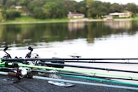 Several fishing rods with reels are laid out on a surface near a calm body of water. The background includes a tranquil lake with reflections of greenery and distant buildings on the other side.