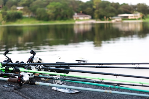 Several fishing rods with reels are laid out on a surface near a calm body of water. The background includes a tranquil lake with reflections of greenery and distant buildings on the other side.