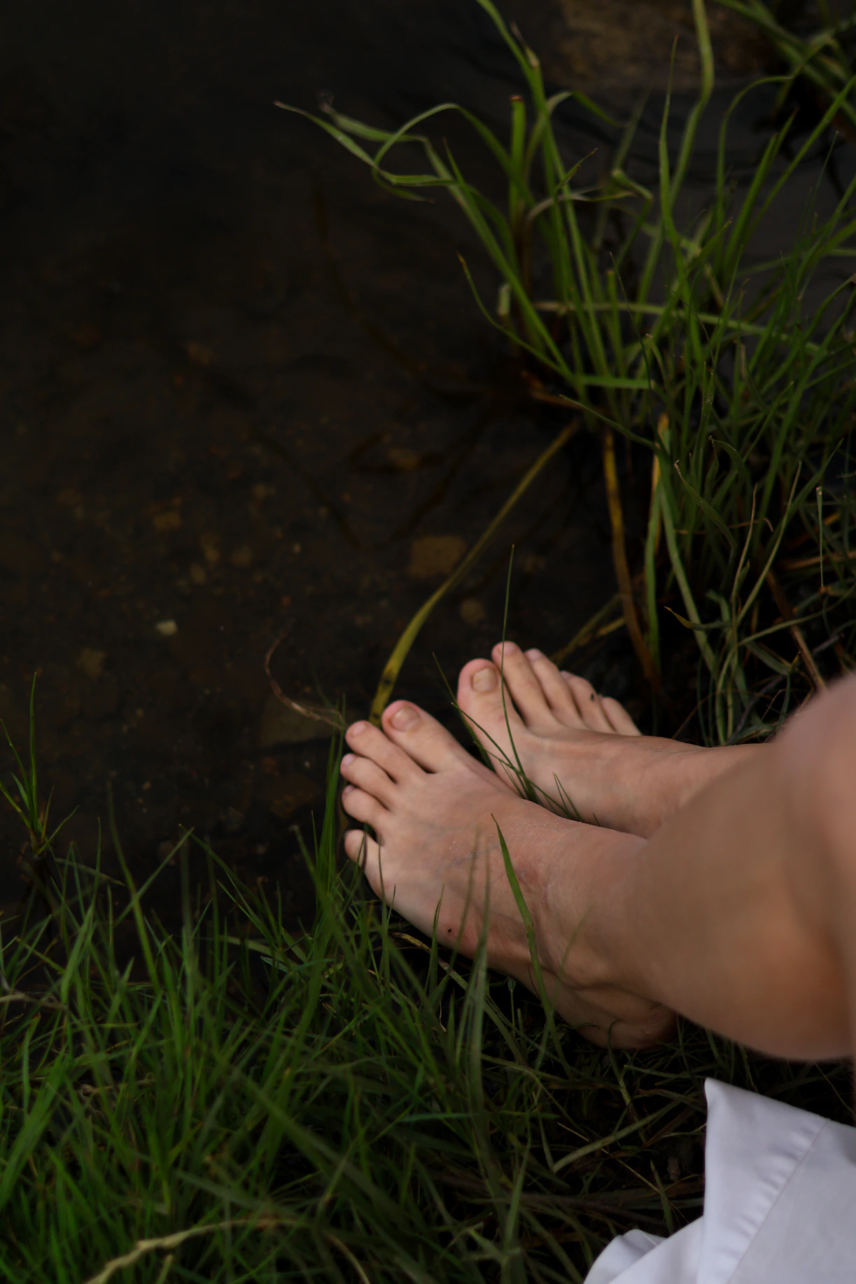 A serene scene of a person barefoot on pine-green grass under warm sunlight, embodying natural living.