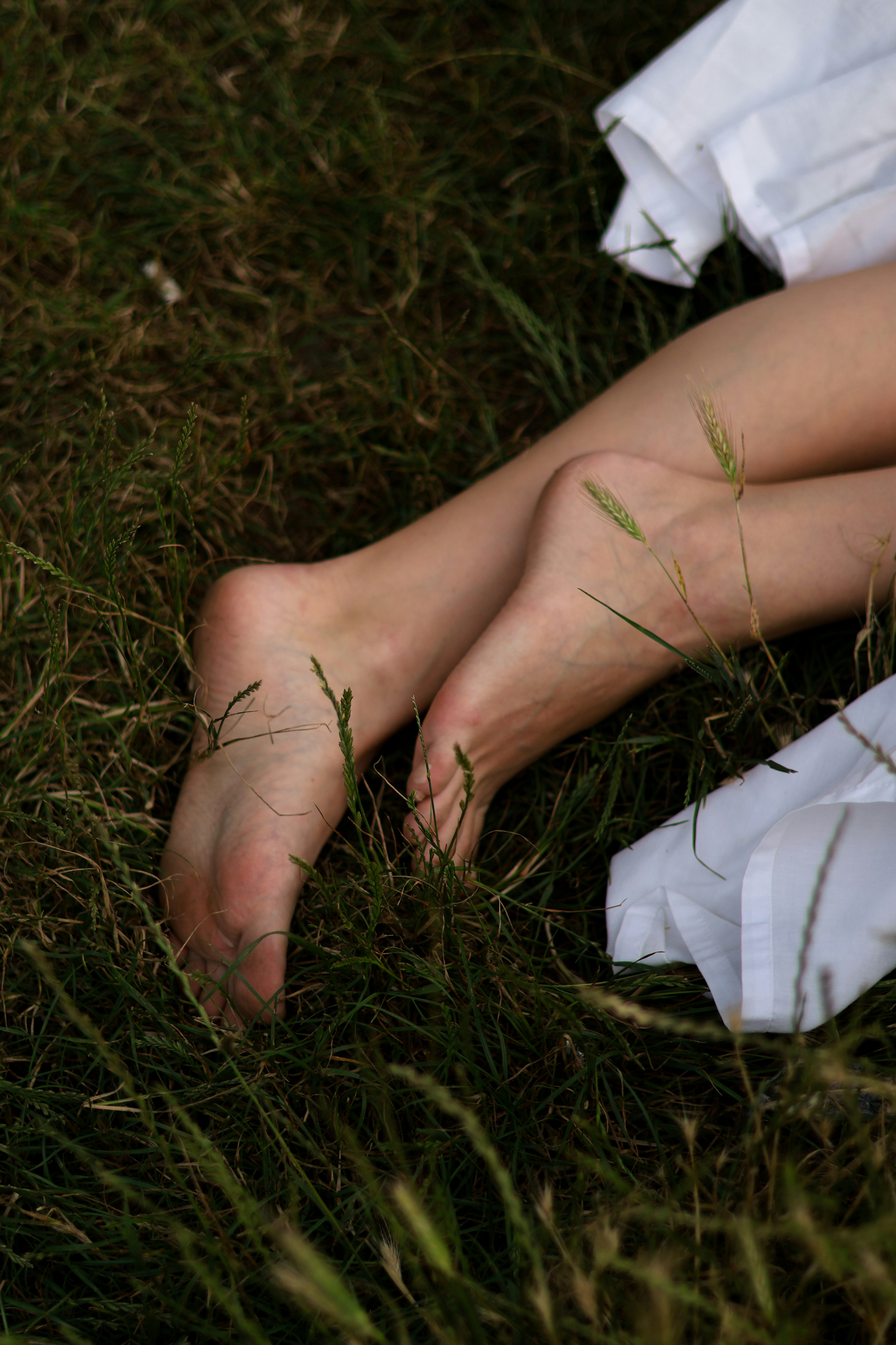 Unlocking the Power of Ginger Green: Benefits and Uses