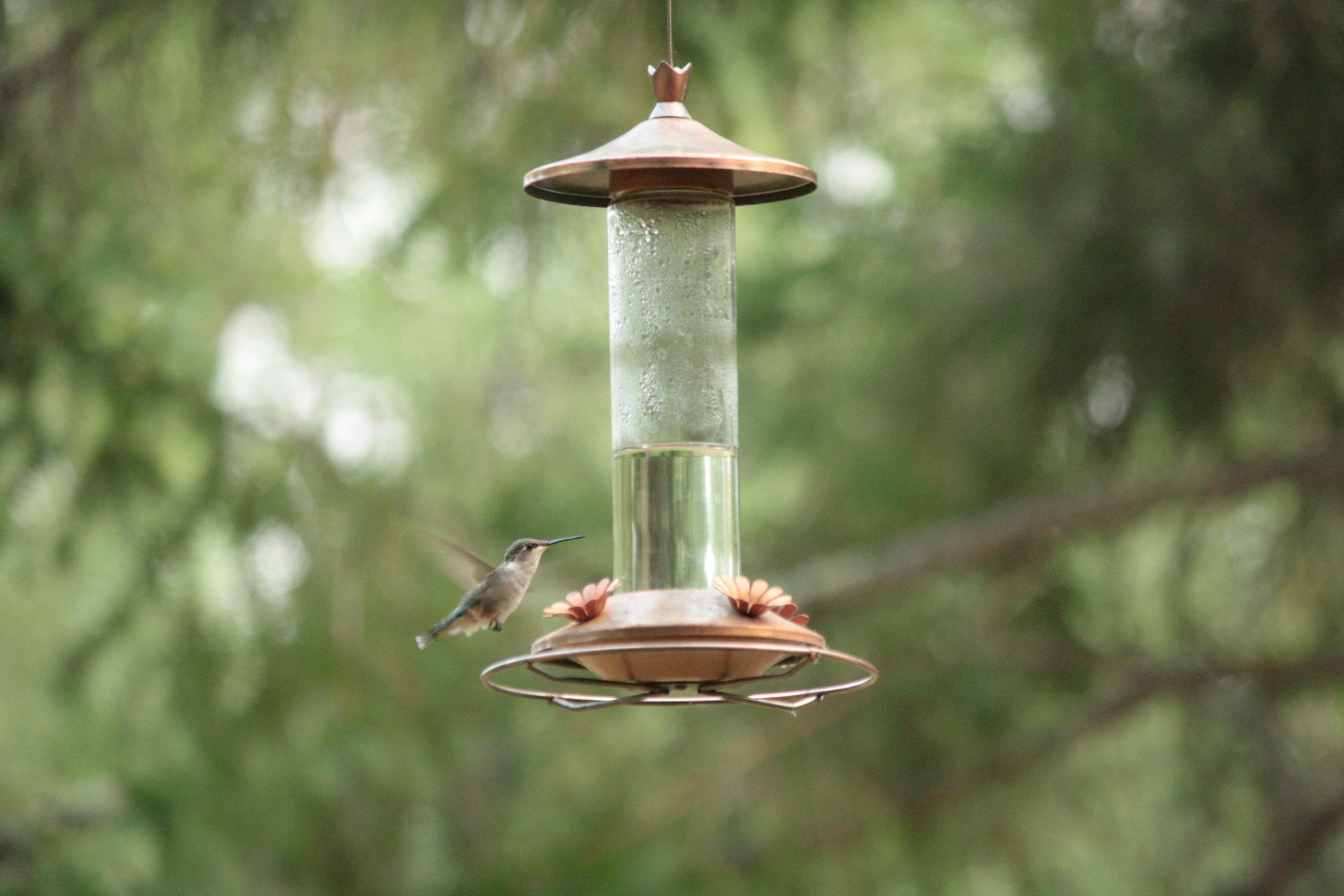 Photo by jackocoolio