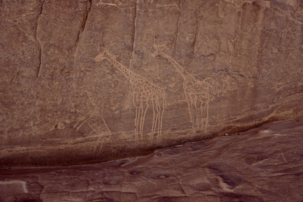 two giraffes are depicted on a rock wall