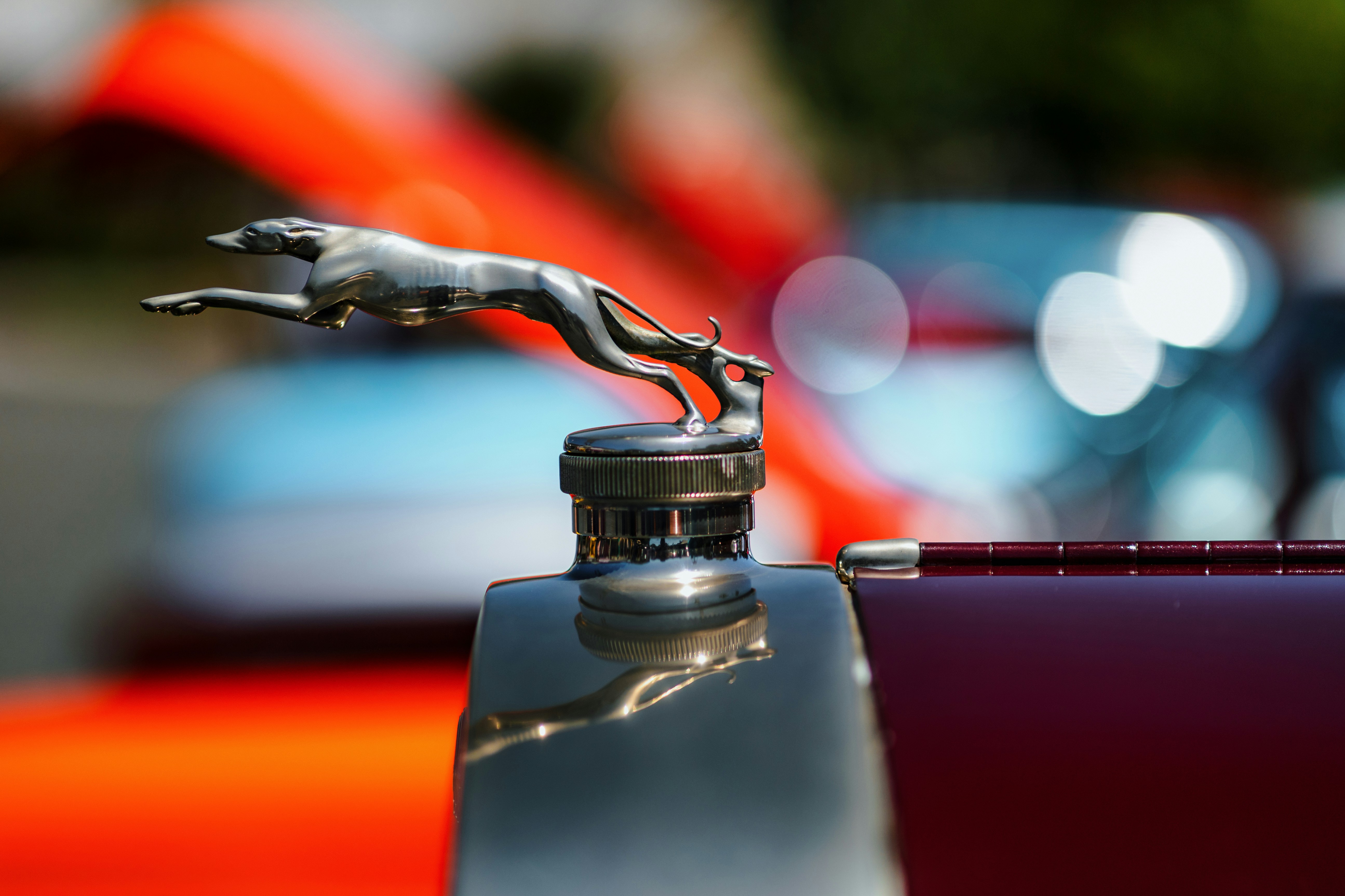7 Auto Detailing Tips For Efficient Water Use