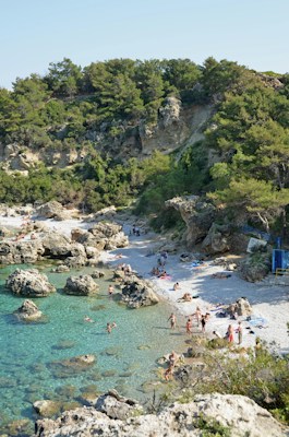 A small rocky bay below a wooded hillside