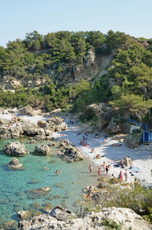 A small rocky bay below a wooded hillside