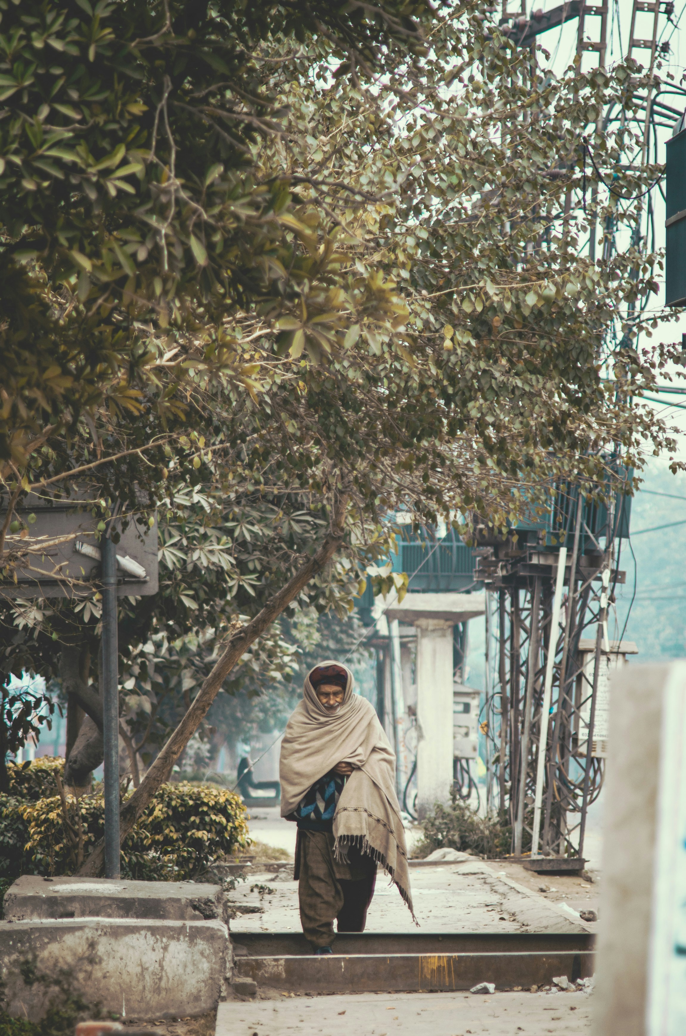 a man walking down a sidewalk under a tree