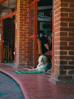 A pet owner consulting with a staff member in a cozy shop.