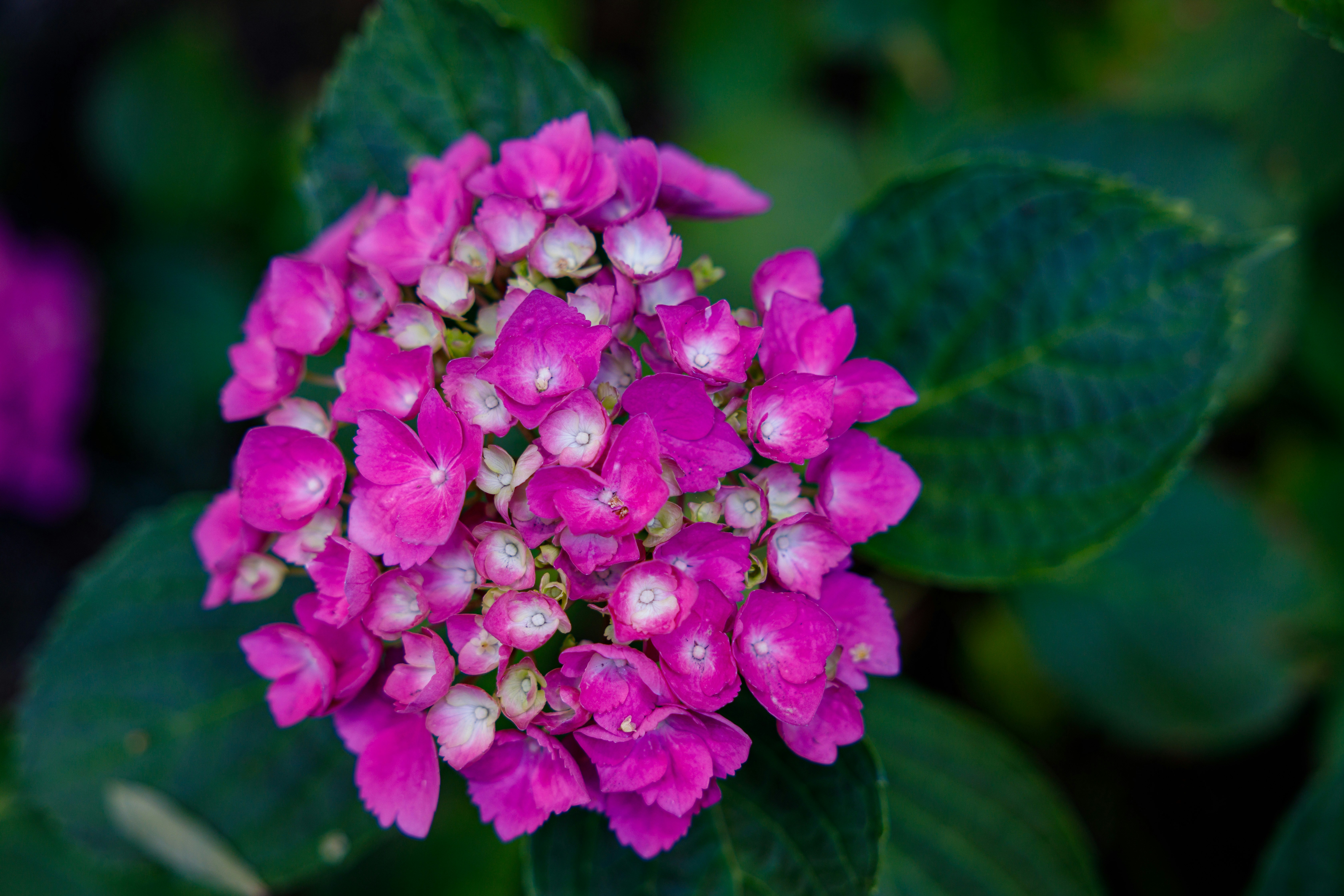 Photo by noam_safran