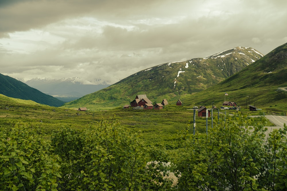 a grassy field with mountains in the background