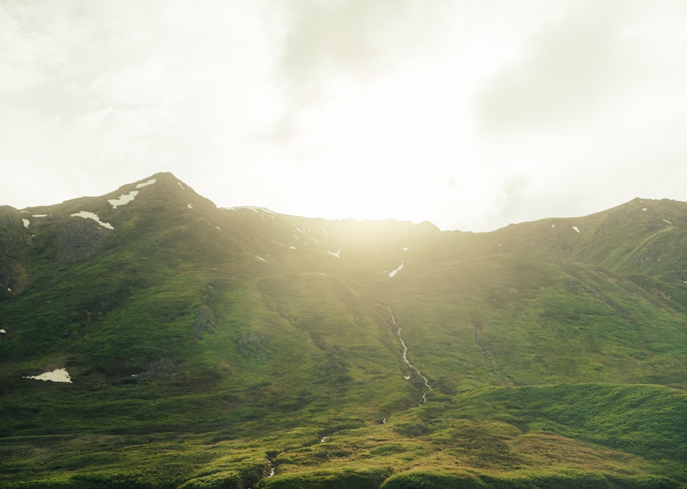 the sun shines on a grassy mountain side