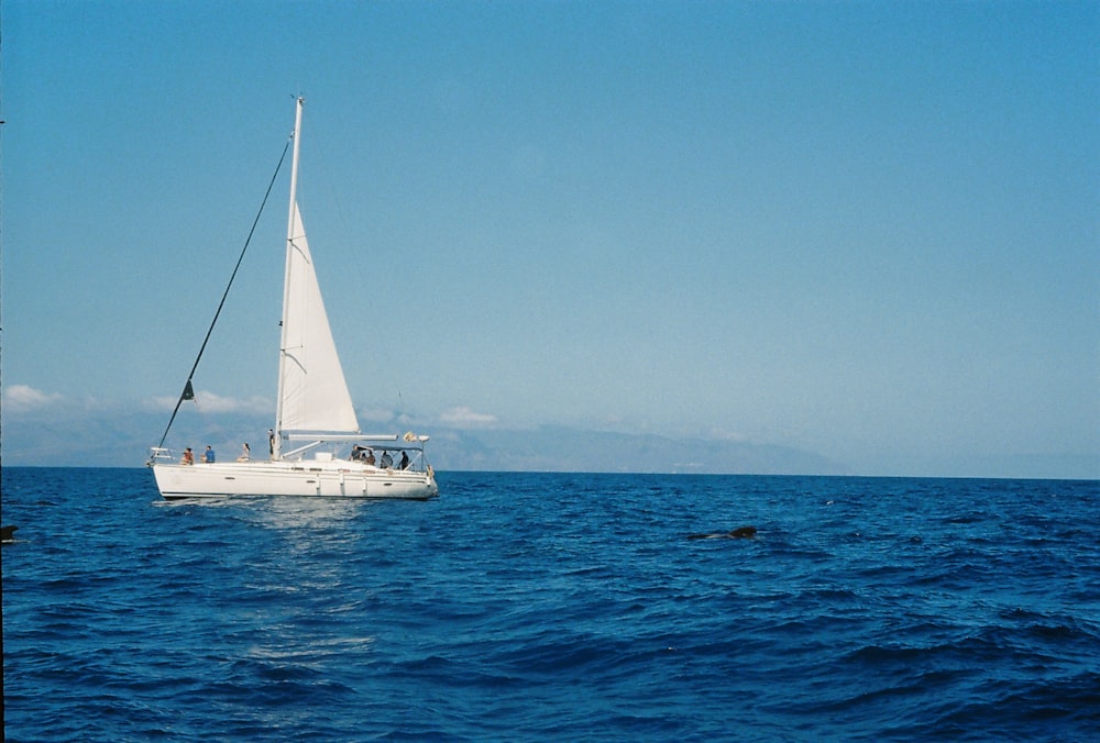 a sailboat in the middle of the ocean