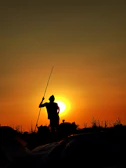 A hunter silhouetted against a sunrise, carrying gear through tall grass.