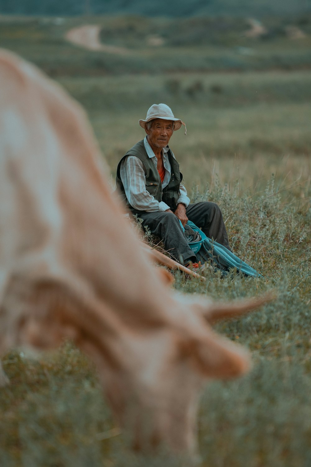 a man sitting in a field next to a cow