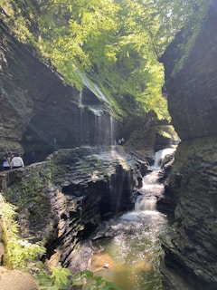 Tourists exploring the lush greenery of a hidden gorge on a guided hike.