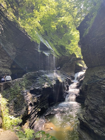 Tourists exploring the lush greenery of a hidden gorge on a guided hike.