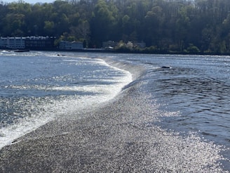 A serene riverscape with gentle waves flowing over a low dam or weir, surrounded by lush green forested hills. Buildings are visible across the water, possibly residential or commercial structures. Sunlight sparkles on the water's surface, creating a peaceful and calm atmosphere.