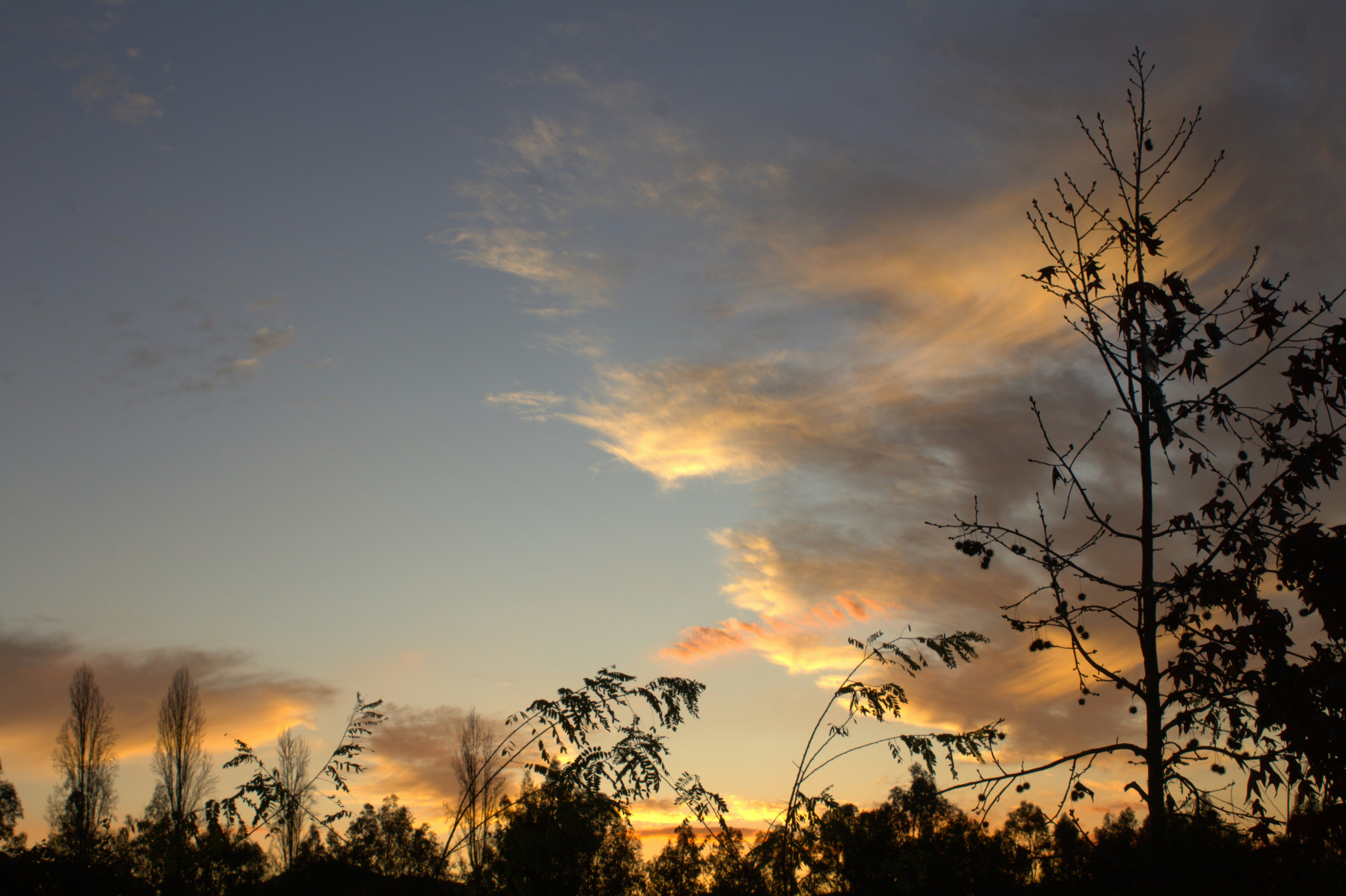 Photo by enconstantemovimiento