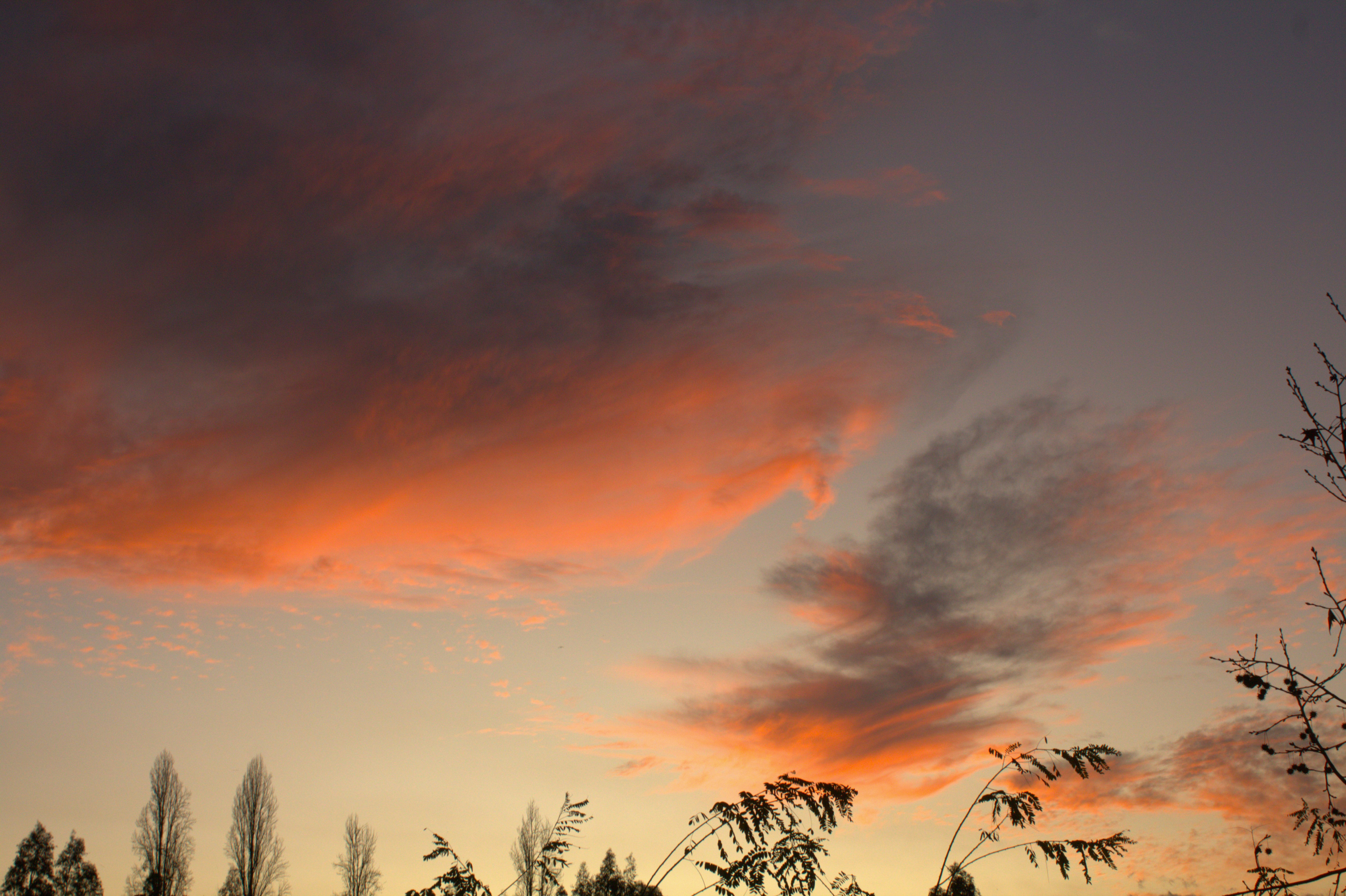 Photo by enconstantemovimiento