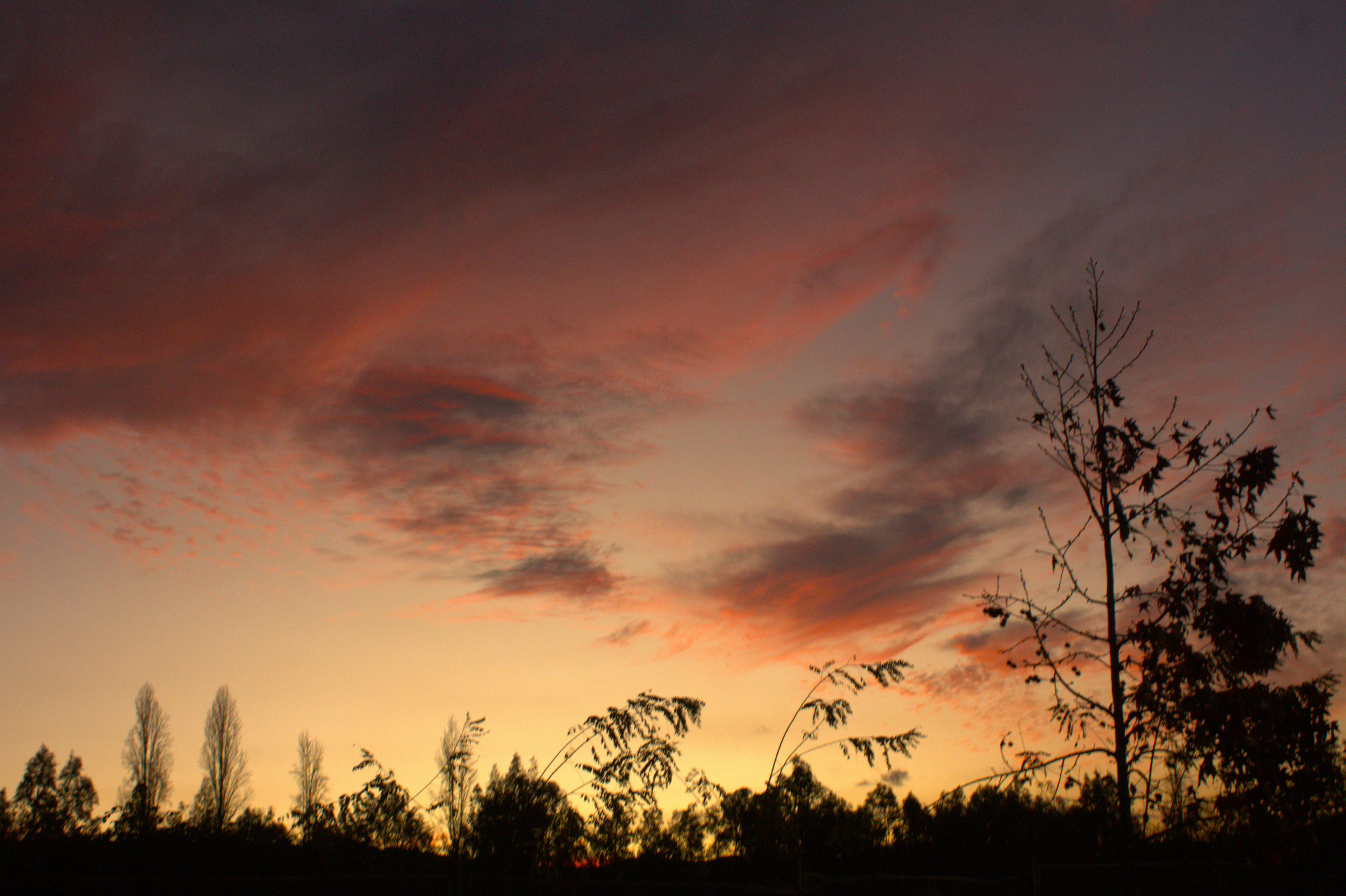 Photo by enconstantemovimiento